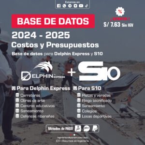 BASE DE DATOS: Delphin Express y S10 - 2024 y 2025