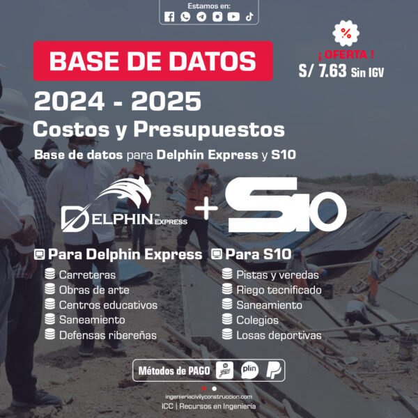BASE DE DATOS: Delphin Express y S10 - 2024 y 2025
