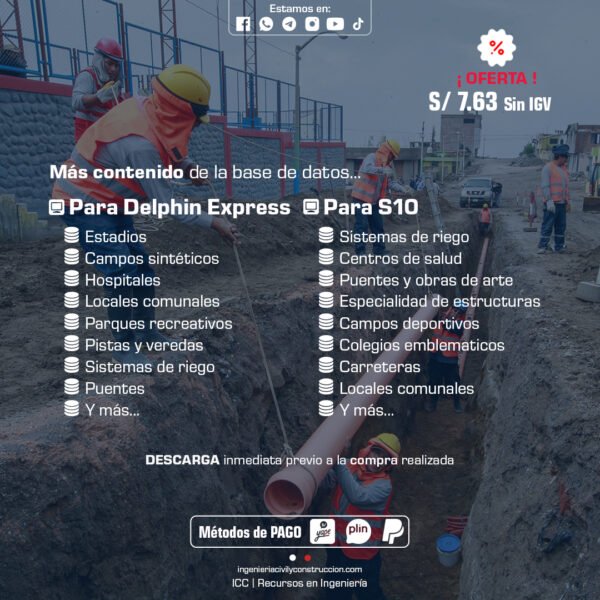 BASE DE DATOS: Delphin Express y S10 - 2024 y 2025 - Imagen 2